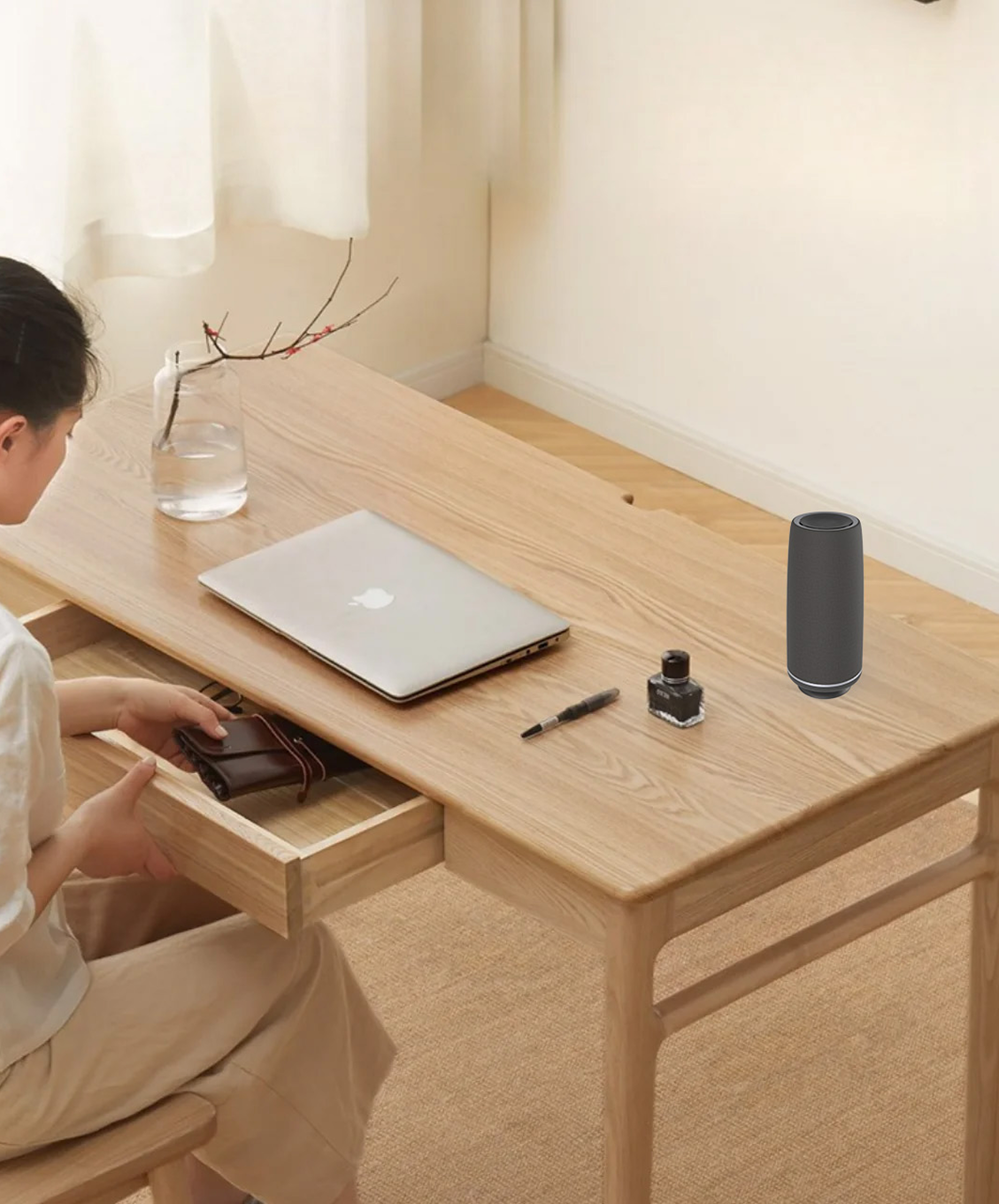 Solair on desk